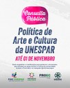consulta pública piac ig.jpg