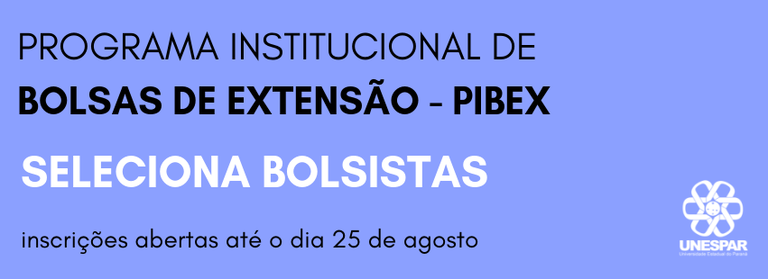 Banner Pibex 2019-2020.png
