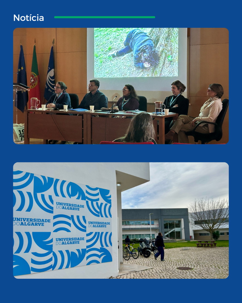 Universidade de Algarve (2).png